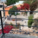 Comfortable House With Sea View In + Garden