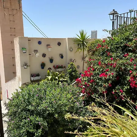 Ferienhaus Comfortable House With Sea View In + Garden *